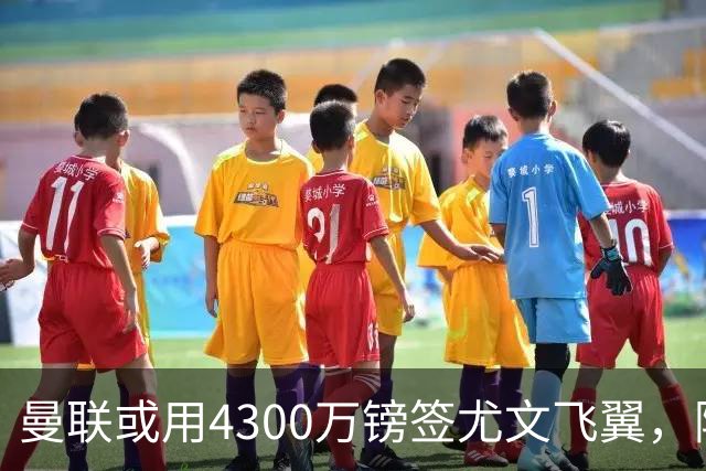 曼联或用4300万镑签尤文飞翼，阿森纳已谈妥巴西国脚个人条款
